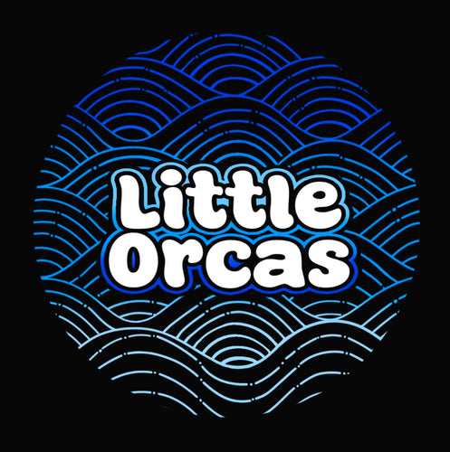 December 2024-  LITTLE ORCAS Bling!!!-  Hoodie